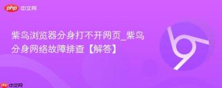 紫鸟浏览器分身打不开网页_紫鸟分身网络故障排查【解答】