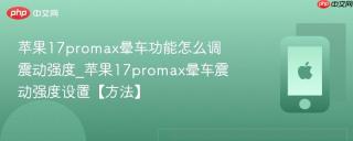 苹果17promax晕车功能怎么调震动强度_苹果17promax晕车震动强度设置【方法】
