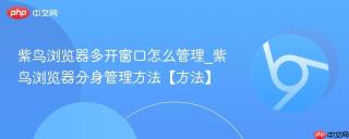 紫鸟浏览器多开窗口怎么管理_紫鸟浏览器分身管理方法【方法】