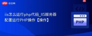 iis怎么运行php代码_IIS服务器配置运行PHP操作【操作】