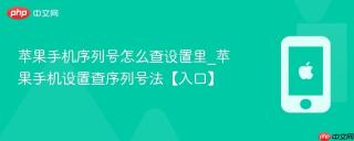 苹果手机序列号怎么查设置里_苹果手机设置查序列号法【入口】