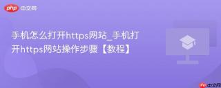 手机怎么打开https网站_手机打开https网站操作步骤【教程】