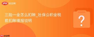 三险一金怎么扣除_社保公积金税前扣除填报说明