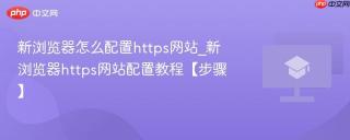 新浏览器怎么配置https网站_新浏览器https网站配置教程【步骤】
