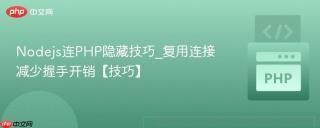 nodejs连php隐藏技巧_复用连接减少握手开销【技巧】