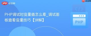 php调试时变量值怎么看_调试面板查看变量技巧【详解】