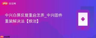 中兴白屏反复重启怎弄_中兴固件重装解决法【根治】