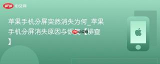 苹果手机分屏突然消失为何_苹果手机分屏消失原因与恢复【排查】