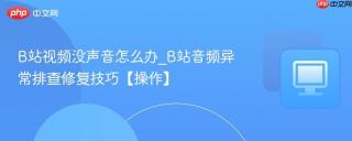 B站视频没声音怎么办_B站音频异常排查修复技巧【操作】