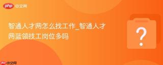 智通人才网怎么找工作_智通人才网蓝领技工岗位多吗
