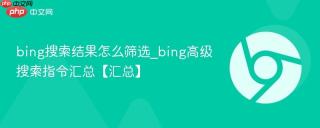 bing搜索结果怎么筛选_bing高级搜索指令汇总【汇总】