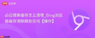 必应搜索缓存怎么清理_Bing浏览器缓存清除释放空间【操作】