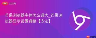 芒果浏览器字体怎么调大_芒果浏览器显示设置调整【方法】