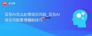 豆包ai怎么处理项目风险_豆包ai项目风险管理辅助技巧