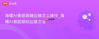 海螺AI侧面跟随运镜怎么操作_海螺AI侧面跟拍运镜方法