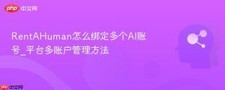 RentAHuman怎么绑定多个AI账号_平台多账户管理方法