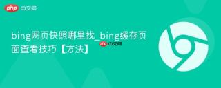 bing网页快照哪里找_bing缓存页面查看技巧【方法】