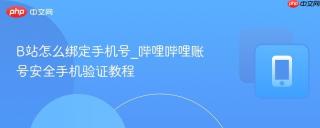B站怎么绑定手机号_哔哩哔哩账号安全手机验证教程