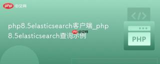 php8.5elasticsearch客户端_php8.5elasticsearch查询示例