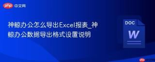 神鲸办公怎么导出Excel报表_神鲸办公数据导出格式设置说明