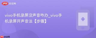 vivo手机录屏没声音咋办_vivo手机录屏开声音法【步骤】