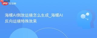 海螺AI倒放运镜怎么生成_海螺AI反向运镜特殊效果