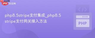 php8.5stripe支付集成_php8.5stripe支付网关接入方法