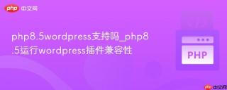 php8.5wordpress支持吗_php8.5运行wordpress插件兼容性