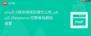 php8.5致命错误回溯怎么用_php8.5fatalerror完整堆栈跟踪查看