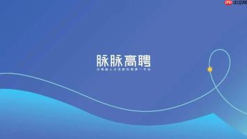 脉脉高聘官网网页版入口_脉脉高聘企业招聘平台2026最新