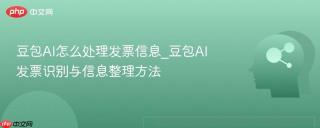 豆包AI怎么处理发票信息_豆包AI发票识别与信息整理方法