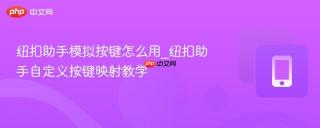 纽扣助手模拟按键怎么用_纽扣助手自定义按键映射教学