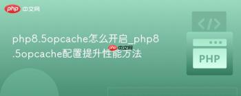 php8.5opcache怎么开启_php8.5opcache配置提升性能方法