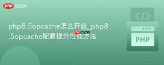 php8.5opcache怎么开启_php8.5opcache配置提升性能方法