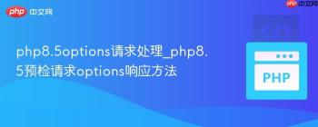 php8.5options请求处理_php8.5预检请求options响应方法