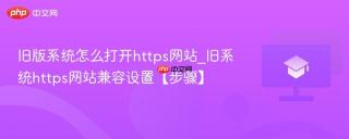 旧版系统怎么打开https网站_旧系统https网站兼容设置【步骤】