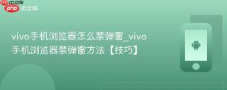 vivo手机浏览器怎么禁弹窗_vivo手机浏览器禁弹窗方法【技巧】