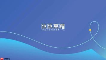脉脉高聘网页版官网地址_脉脉高聘PC端招聘平台入口