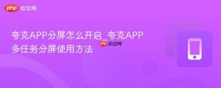 夸克APP分屏怎么开启_夸克APP多任务分屏使用方法