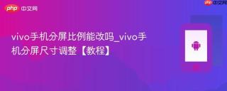 vivo手机分屏比例能改吗_vivo手机分屏尺寸调整【教程】