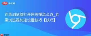 芒果浏览器打开网页慢怎么办_芒果浏览器加速设置技巧【技巧】