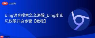 bing语音搜索怎么唤醒_bing麦克风权限开启步骤【教程】
