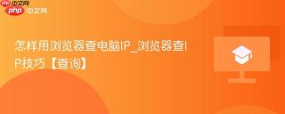 怎样用浏览器查电脑ip_浏览器查ip技巧【查询】