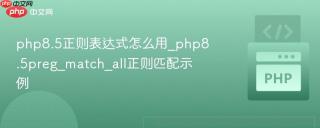 php8.5正则表达式怎么用_php8.5preg_match_all正则匹配示例