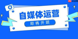 百家号MCN机构怎么入驻_百家号矩阵运营与机构申请【详解】