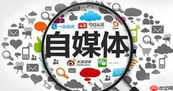 网易LOFTER怎么申请签约_LOFTER画手作者认证与扶持计划【指南】