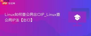 Linux如何查公网出口IP_Linux查公网IP法【出口】