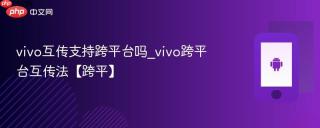 vivo互传支持跨平台吗_vivo跨平台互传法【跨平】