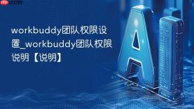 workbuddy团队权限设置_workbuddy团队权限说明【说明】