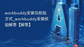 workbuddy安装包校验方式_workbuddy安装校验解答【解答】